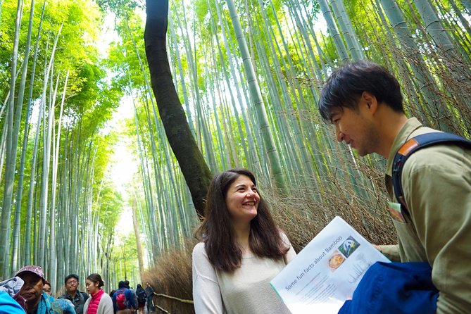Kyoto Arashiyama Bamboo forest & Garden Half-Day Walking Tour - Hokyoin: a hidden-garden reset in the middle of Arashiyama