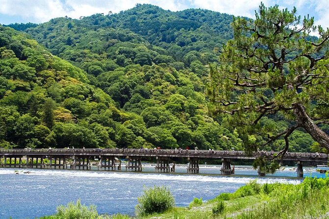 Kyoto: Arashiyama Bamboo Forest, Monkeys, Matcha & Temple Tour - Key highlights worth your attention