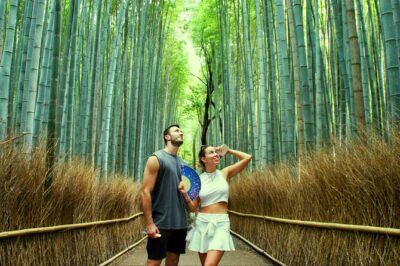 Kyoto: Arashiyama Bamboo Forest, Monkeys, Matcha & Temple Tour - Tenryu-ji Zen gardens: UNESCO calm you actually get to enjoy
