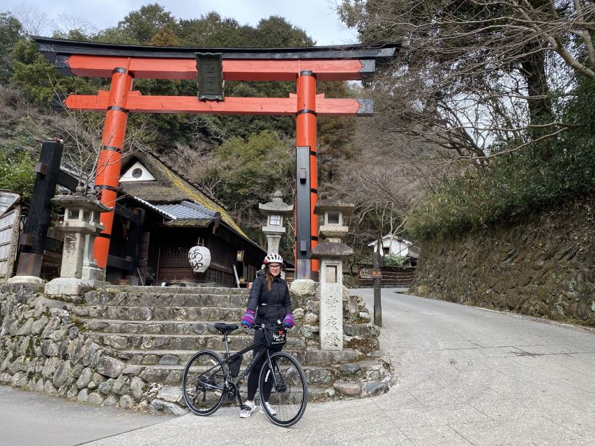Kyoto: Arashiyama Bamboo Forest Morning Tour by Bike - What It’s Like With Different Guides (Milo, Rob, Yuki, Ray, Peter)