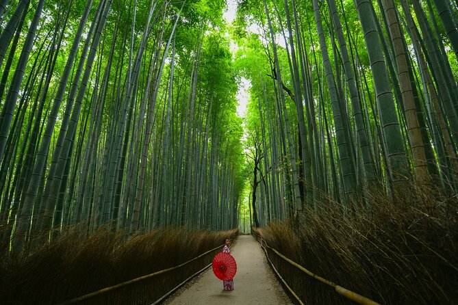 Kyoto: Arashiyama Bamboo, Temple, Matcha, Monkeys & secret spots - Stop 3: Tenryu-ji Temple’s pond-and-koi moments
