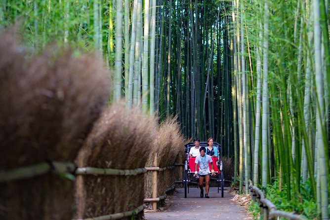 Kyoto Arashiyama Rickshaw Tour with Bamboo Forest - Nonomiya Shrine and Bamboo-Quiet Photo Moments