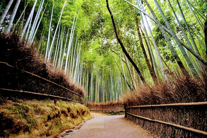 Kyoto Arashiyama Walking Tour: Bamboo, Monkeys, Gardens & Secrets - Tenryu-ji Temple and Sōgenchi Teien: the UNESCO garden moment