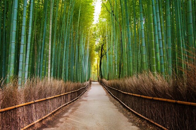 Kyoto Arashiyama Walking Tour: Bamboo, Monkeys, Gardens & Secrets - Togetsukyo Bridge and the Kimono Forest: river views and photo angles