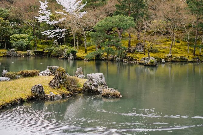 Kyoto Arashiyama Walking Tour: Bamboo, Monkeys, Gardens & Secrets - Monkey Park Iwatayama: the best pay-off needs the steep climb