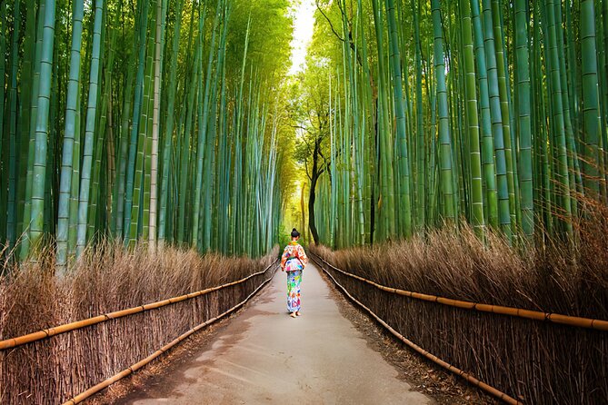 Kyoto Arashiyama Walking Tour: Bamboo, Monkeys, Gardens & Secrets - Nonomiya Shrine: a small stop with a big cultural role