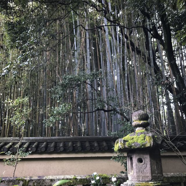 Kyoto: City Secrets eBike Tour - How the E-bike Ride Feels in Real Life