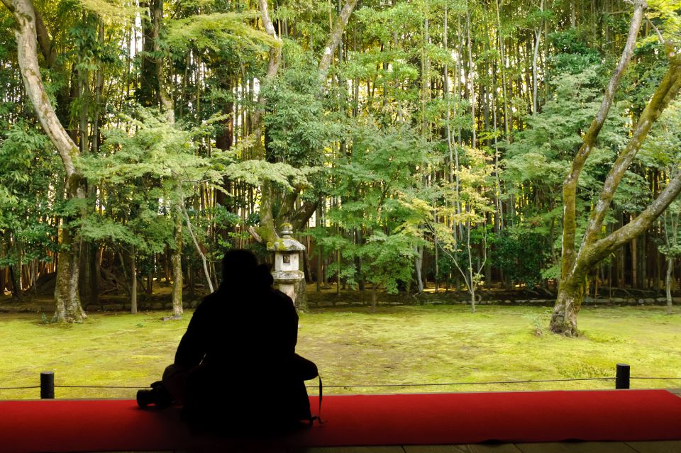 Kyoto: City Secrets eBike Tour - Guide Energy: You’re Not Just Touring, You’re Translating Kyoto