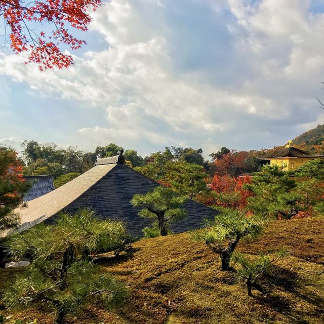 Kyoto: City Secrets eBike Tour - Quick Booking Call: Should You Book Kyoto City Secrets?