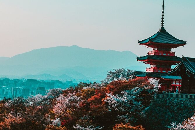 Kyoto Custom Private Walking Tour with A Guide (Private Tour) - Key things to look for before you go