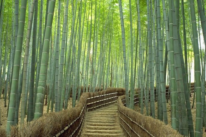 Kyoto Day Trip using Private Car with English Driver (up to 5) - Stop 1: Arashiyama Bamboo First, With Time to Breathe