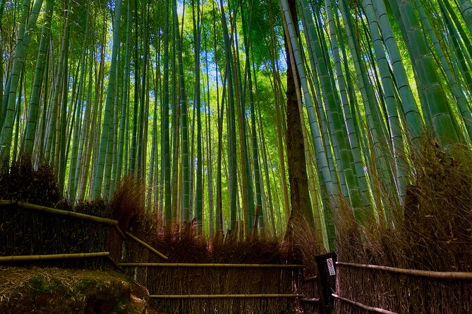 Kyoto Early Bird English Tour: Fushimi-Inari and Arashiyama - Why this early Kyoto route feels worth it