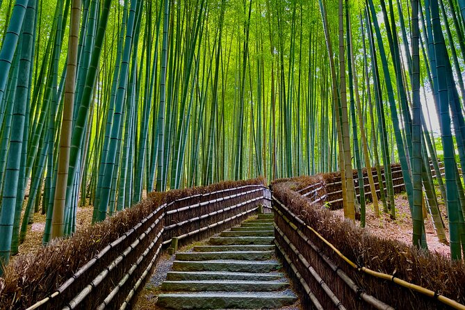 Kyoto Early Bird English Tour: Fushimi-Inari and Arashiyama - Price and what you still pay: is it good value?