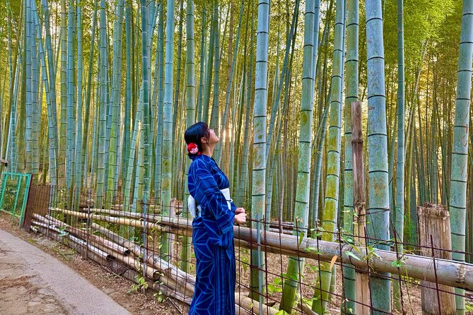 Kyoto Early Bird English Tour: Fushimi Inari & Gion(Private opt) - Why a Private Early-Bird English Tour Works for Most People
