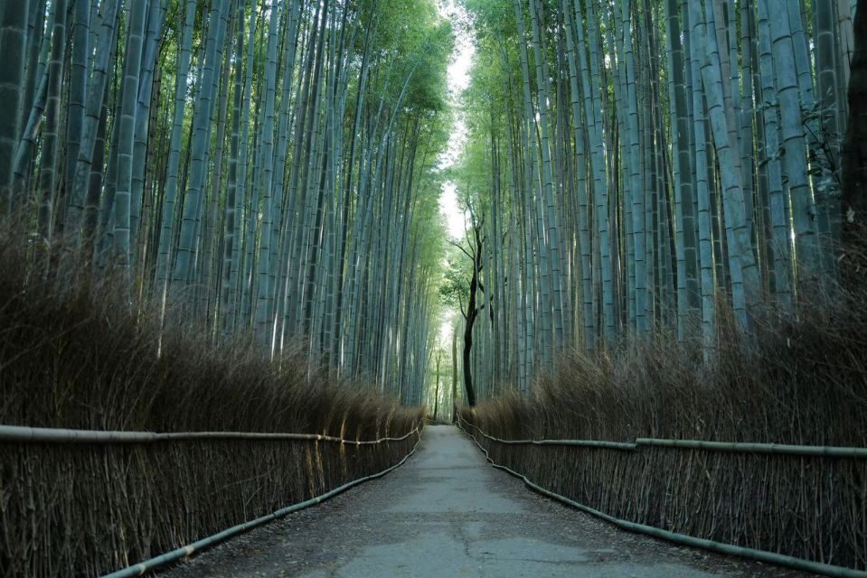 Kyoto: Early Morning Tour with English-Speaking Guide - What Makes the Guides Matter