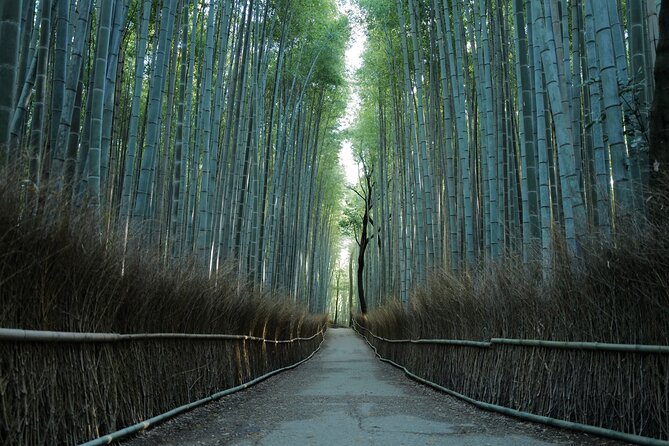 Kyoto: Early Morning Tour with English-Speaking Guide - Getting Around: Trains, Short Walks, and One Bus Leg