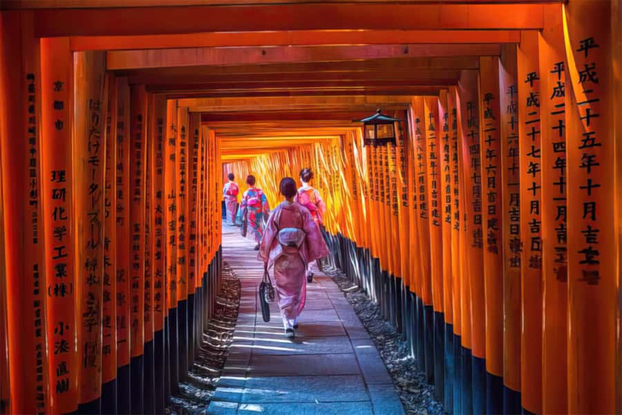 Kyoto: Fushimi, Arashiyama - Bamboo, Monkey, Torii & Secrets - Key highlights you’ll remember