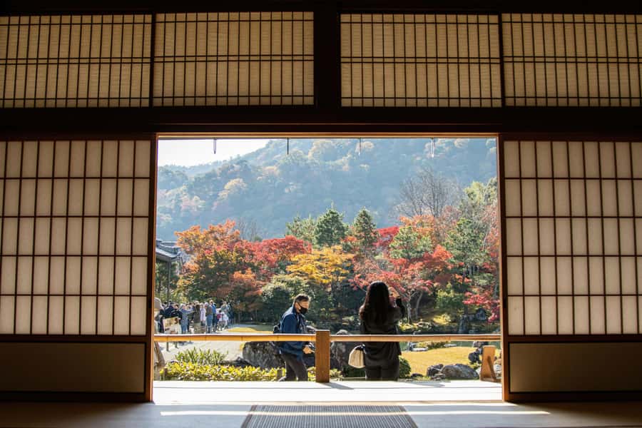 Kyoto: Fushimi, Arashiyama - Bamboo, Monkey, Torii & Secrets - Timing, lunch, and how to keep energy up