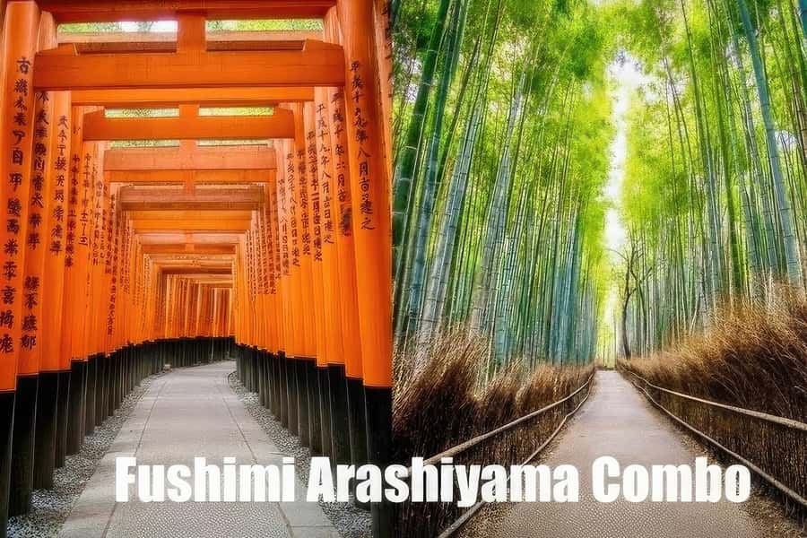 Kyoto: Fushimi, Arashiyama - Bamboo, Monkey, Torii & Secrets - Price and what $88 buys you in Kyoto time