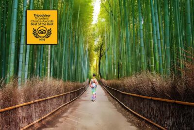 Kyoto: Fushimi, Arashiyama - Bamboo, Monkey, Torii & Secrets - Finding the meeting point: Inari Station and an easy start/end
