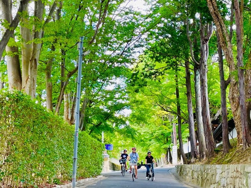 Kyoto: Fushimi Inari Shrine and Tofukuji Temple E-Bike Tour - Key reasons this Kyoto e-bike tour works