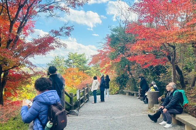 Kyoto: Geisha Dinner & Gion Cultural Walk - Sake, questions, and the kind of interaction you should expect