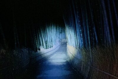 Kyoto Ghost Tour: Dark Tales, Urban Legends, Bamboo Forest Night - Meeting at Saga-Arashiyama Station: where the night starts