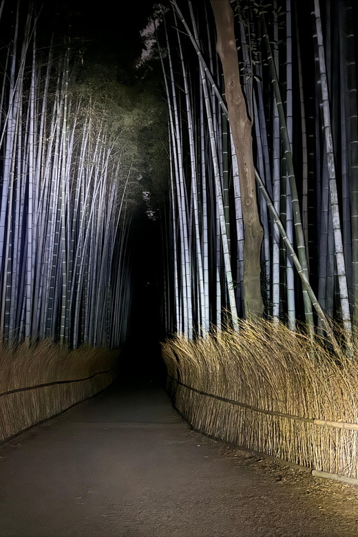 Kyoto: Ghost Tour - Legends, Dark Tales, Bamboo Forest Night - The first 15 minutes in Arashiyama: slow down, switch gears