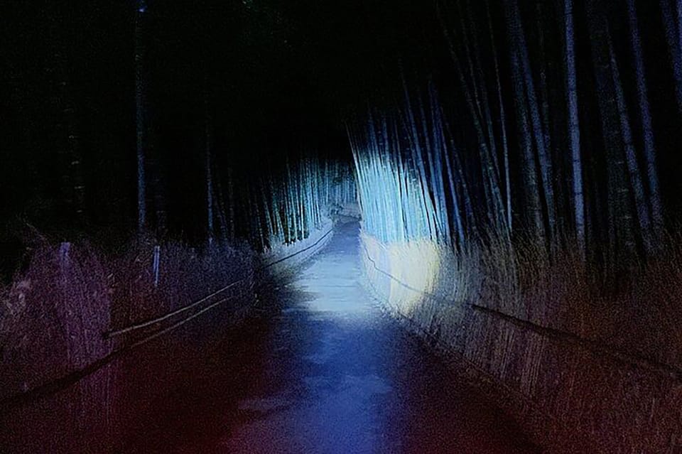Kyoto: Ghost Tour - Legends, Dark Tales, Bamboo Forest Night - The bamboo forest is the main event: your solo walk in the dark