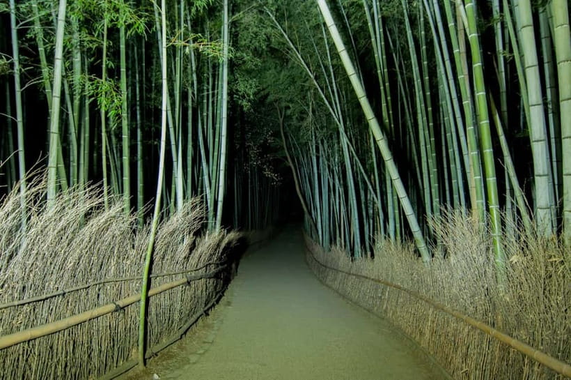 Kyoto: Ghost Tour - Legends, Dark Tales, Bamboo Forest Night - Timing, group feel, and what you’ll actually do