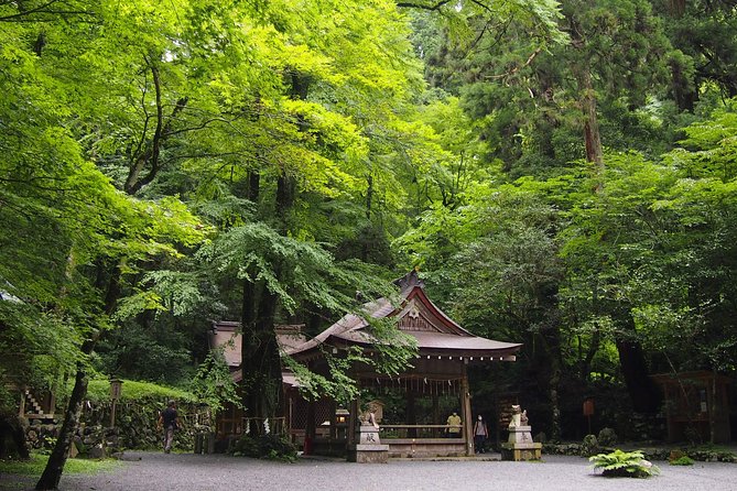 Kyoto Hiking Tour: The Nature and Legends of Kurama and Kibune - Kyoto’s mountains: why Kurama and Kibune feel like a reset