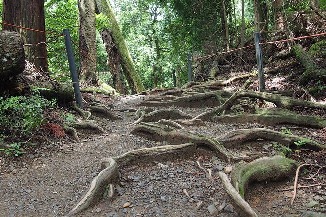 Kyoto Hiking Tour: The Nature and Legends of Kurama and Kibune - Pacing and footwear: how to judge if you’ll enjoy the stairs