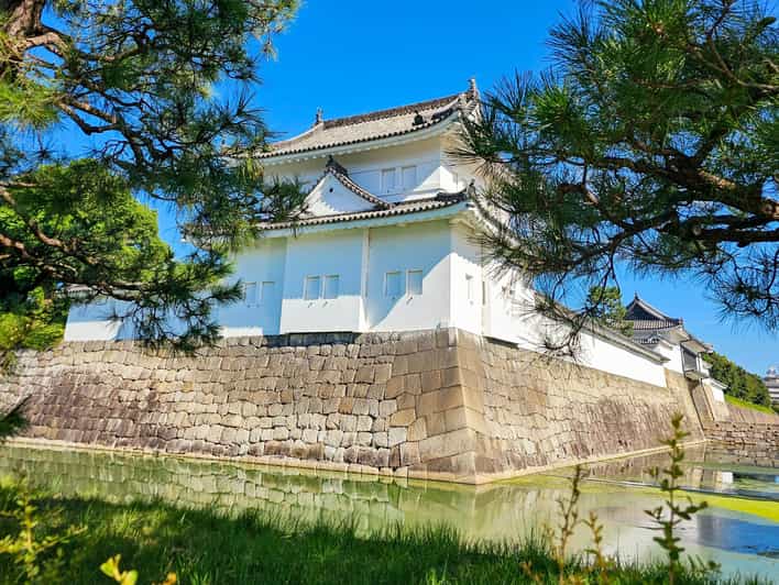 Kyoto: Imperial Palace & Nijo Castle Guided Walking Tour - Key highlights you’ll care about