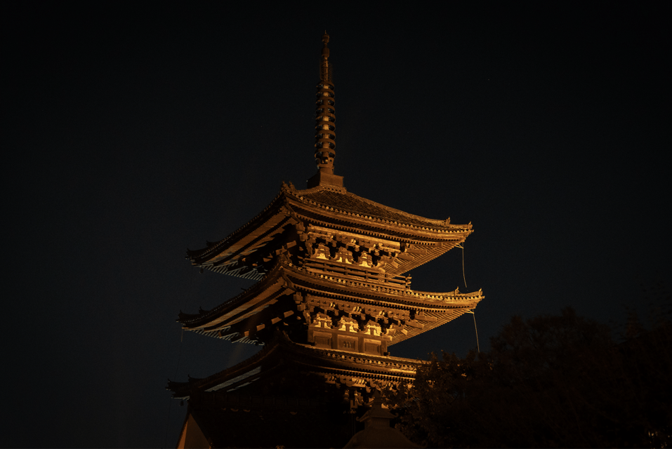 Kyoto: Izakaya Bars Guided Walking Tour - Kyoto Nights Make More Sense Once You Walk Them