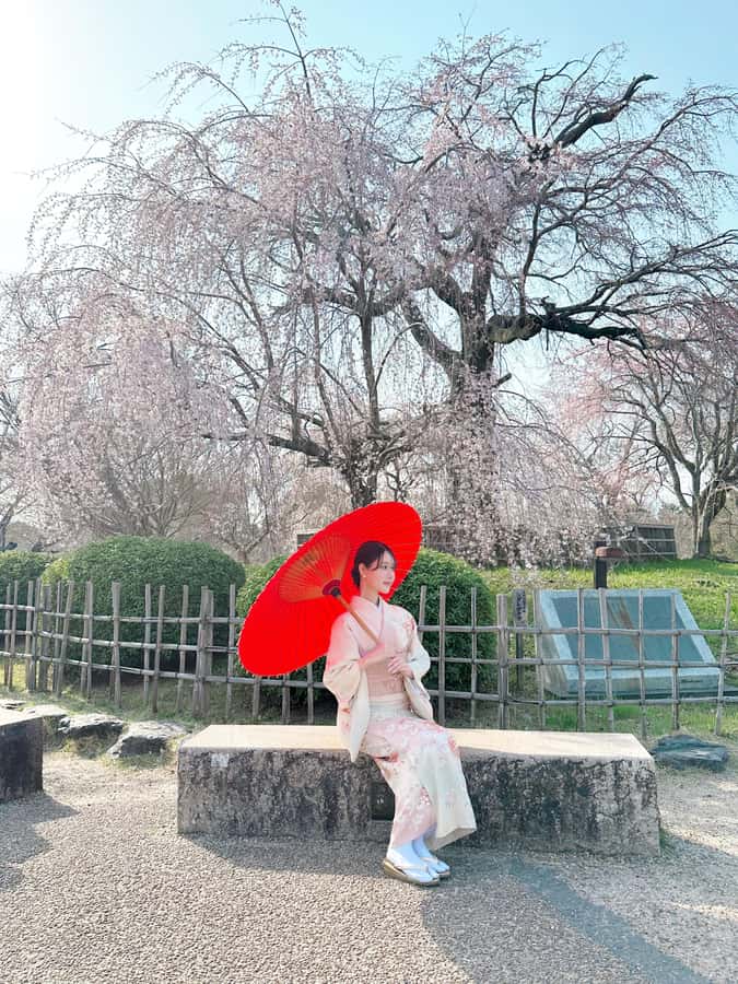 Kyoto: Kimono Rental Traditional Experience at Wargo in Gion - Your Kyoto Stroll: Using the Kimono Time Without Feeling Rushed