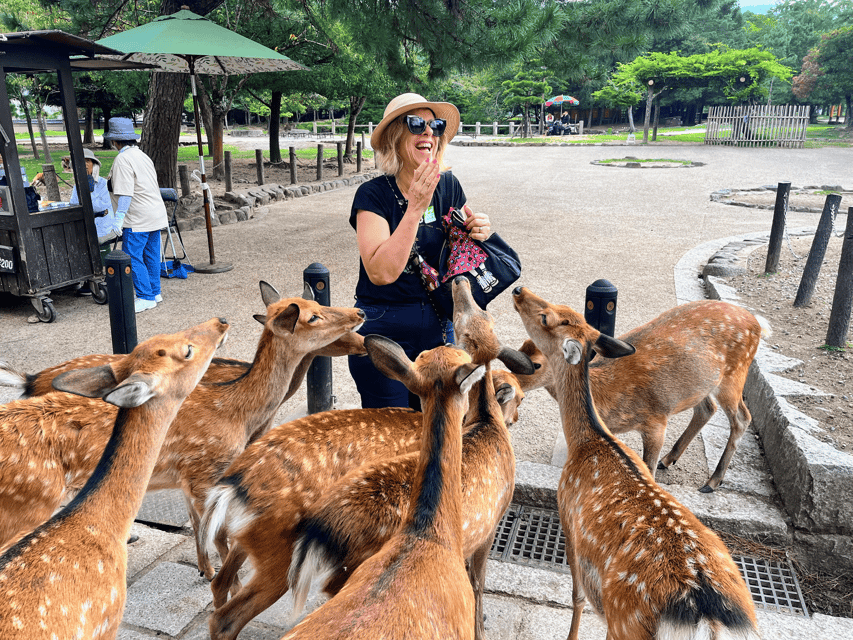 Kyoto: Nara & Traditional Matcha Experience Bus Tour - The bus ride between stops: comfort, Wi‑Fi, and why the timing feels kinder