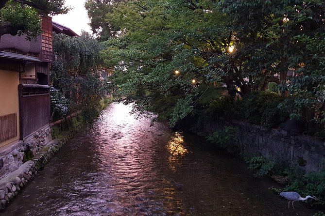 Kyoto Nighttime All-Inclusive Eats and Streets, Gion and Beyond - Price and what you’re actually paying for at $119