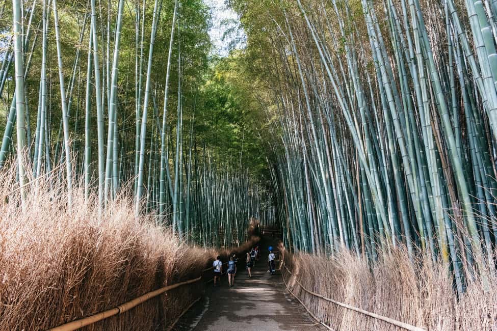 Kyoto: Nijo Castle, Kiyomizu & Fushimi Inari Guided Tour - Nijo Castle and the Nightingale Floors: A Shogun-Era Reality Check