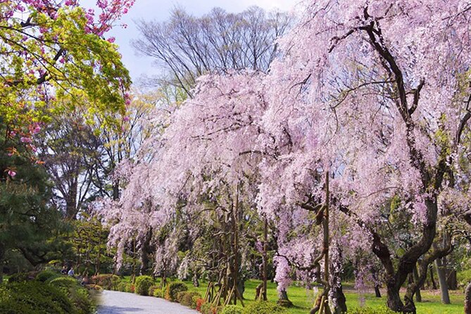 Kyoto: Nijo Castle World Heritage Guided Tour with Admission - Gardens, Gates, and Photo Moments You’ll Notice More With a Guide