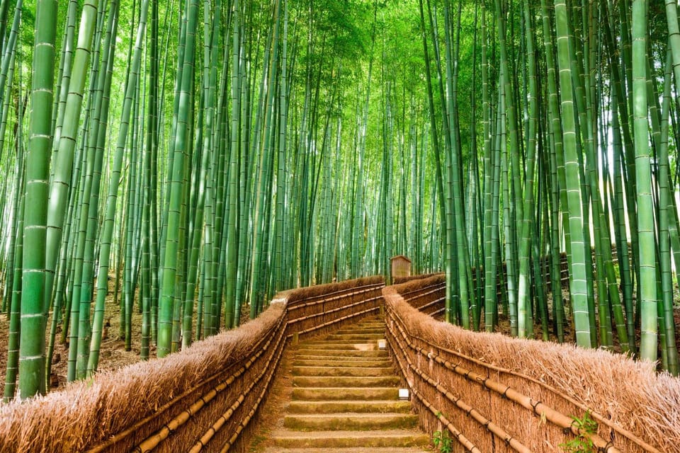 Kyoto/Osaka: Kyoto and Nara Customized Private Guided Tour - Fushimi Inari Taisha: The Vermilion Torii Gates and How to Not Get Lost