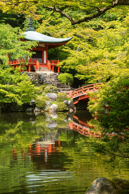Kyoto/Osaka: Kyoto and Nara Customized Private Guided Tour - Gion and Kyoto Streets: A Neighborhood Walk That Doesn’t Feel Like a Race