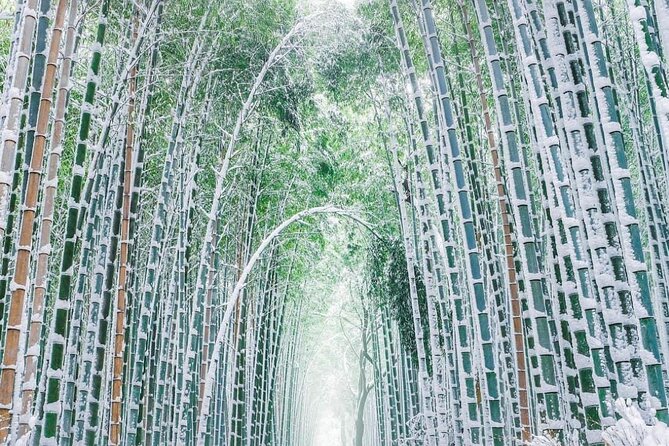 Kyoto, Osaka, Nara Private Tour by Car English Driver Guide - The 10 Hours Reality Check: How to Make It Feel Relaxing