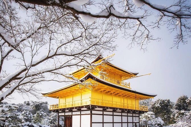 Kyoto, Osaka, Nara Private Tour by Car English Driver Guide - Price and Value: When $660.51 Makes Sense