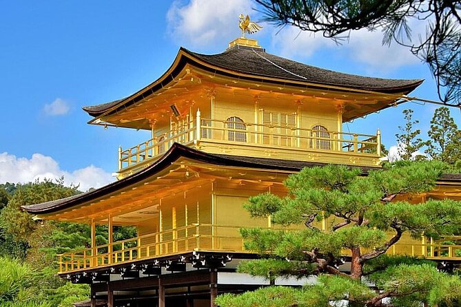 Kyoto, Osaka, Nara Private Tour by Car English Driver Guide - Driver vs Tour Guide: What “English Speaking” Really Means