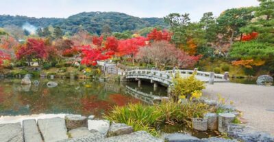 Kyoto: Private 2.5 Hour Historical Walking Tour - Yasaka Shrine and Maruyama Park: learning the Shinto basics before the crowd hits