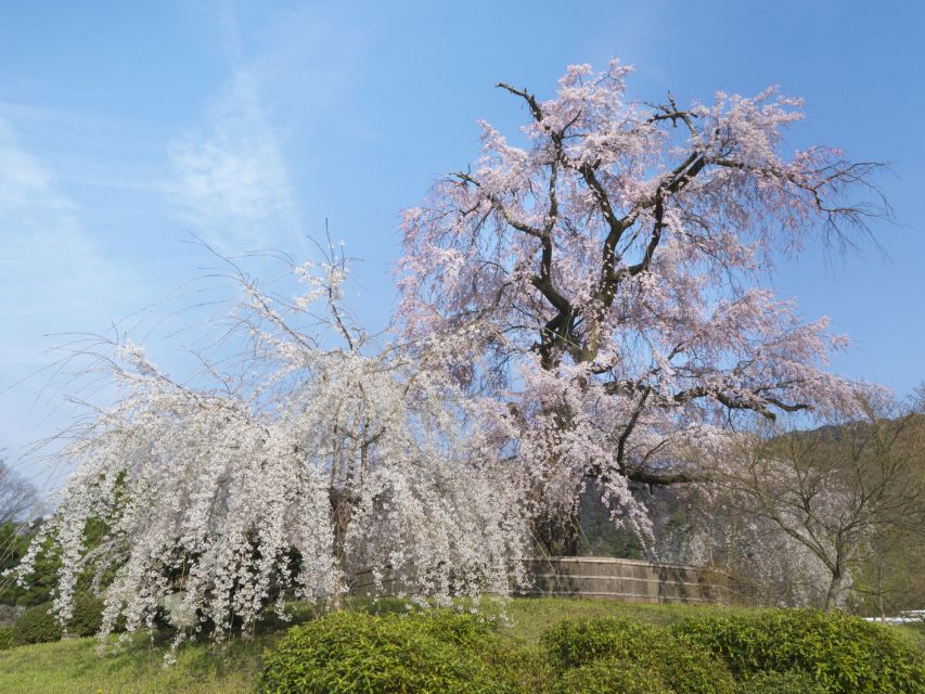 Kyoto: Private 2.5 Hour Historical Walking Tour - Price and value: $80 per group up to 5 makes sense if you’ll ask questions