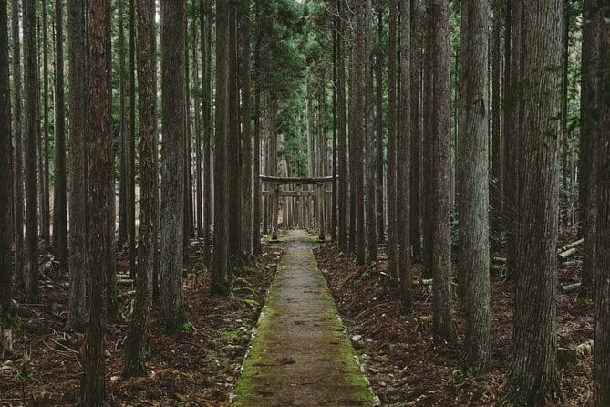 Kyoto Private Car Tour – Full Day with Local Guide & Nara Option - Stop 2: Arashiyama’s Nature + the Bamboo Forest Timeline