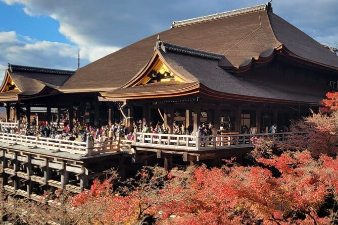Kyoto Private Car Tour – Full Day with Local Guide & Nara Option - What You Actually Get From a Guide (Riku, Tatsuya, and Others)