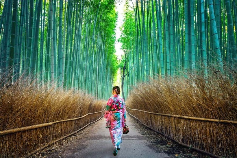 Kyoto: Private Customizable Day Tour with Guide and Vehicle - A Kyoto day that starts at your hotel, not a transit hub