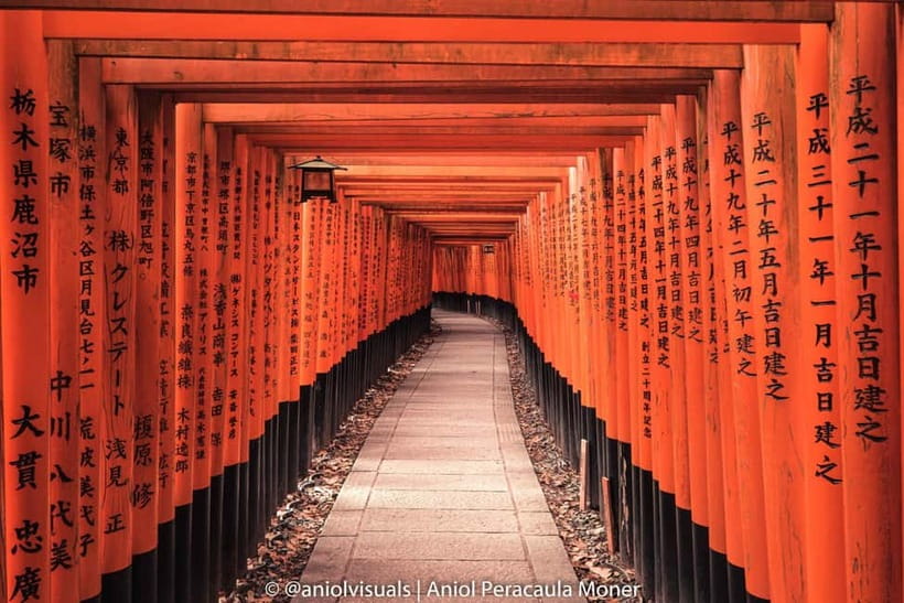 Kyoto: Private Customizable Day Tour with Guide and Vehicle - English guide + crowd timing: how you actually save the day